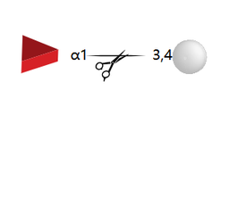 Alpha-(1-3,4) Fucosidase